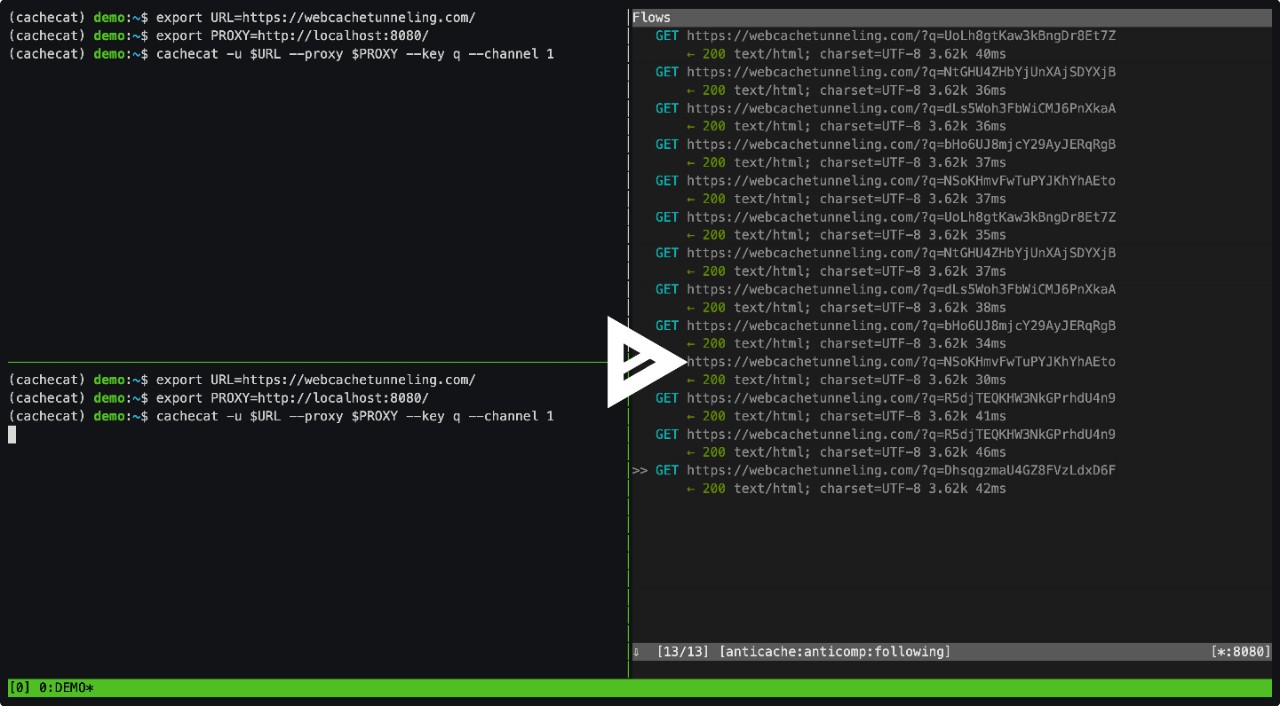 Code showing cachecat enabling the tunneling of arbitrary data 